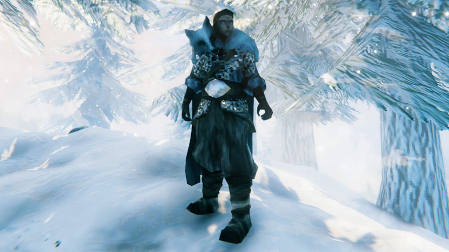 A Viking in Valheim wearing wolf armour